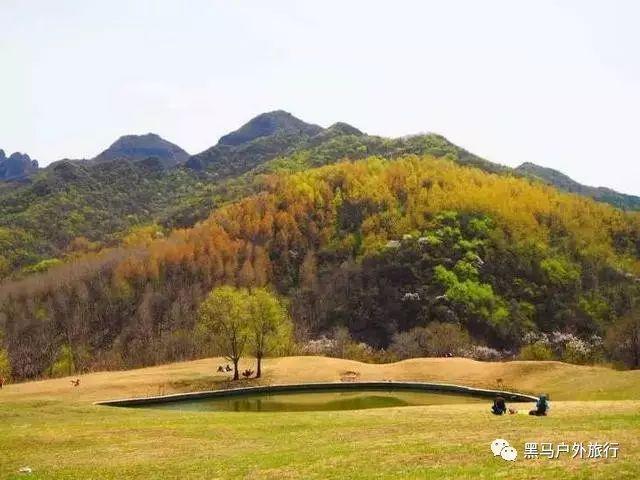 一名潜逃17年的命案嫌疑人被兰州警方控制：曾想过自首 还是有侥幸心理